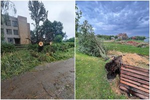 Praėjusią naktį Kybartuose fiksuotas uraganinio stiprumo škvalas