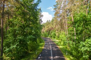 Istorija – už būsto sienos: ko apie Bukčius dažnai nežino net vilniečiai?