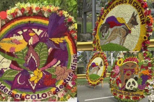 Kolumbijoje – gėlių festivalis: pasigrožėkite įspūdingomis kompozicijomis