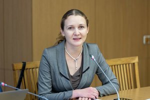 E. Gudzinskaitė: skiriant prioritetą rusų ir baltarusių saugumo patikroms, Migracijos departamente stoja kiti procesai