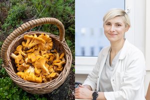 Kad grybai netaptų nuodu – gydytojos įspėjimas