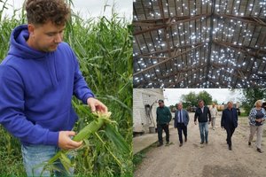 Po siautėjusios stichijos ūkininkai – slogios nuotaikos: stogai – kaip rėtis, karvės – nusėtos žaizdų