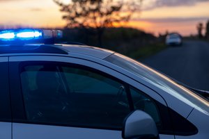 Lenkijoje sulaikytas lietuvis, vežęs didelę marihuanos siuntą