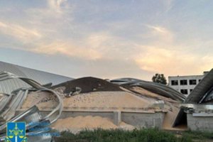 Kritikuoja siūlymus ukrainietiškus grūdus tikrinti Baltijos šalių uostuose: „Kas prisiims atsakomybę?“