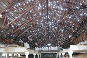 Kviečia kreiptis ūkininkus, nukentėjusios nuo krušos: padės išsaugoti derlių