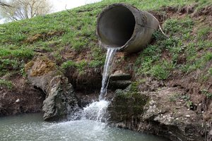 Teismas esmingai pakeitė iš sovietmečio paveldėtą žalos aplinkai nustatymo ir vertinimo praktiką