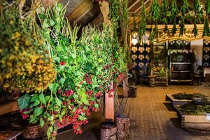 Nepaprasti Žolinės atradimai: artistų triukai, valgomi gėlynai ir jų aromatai