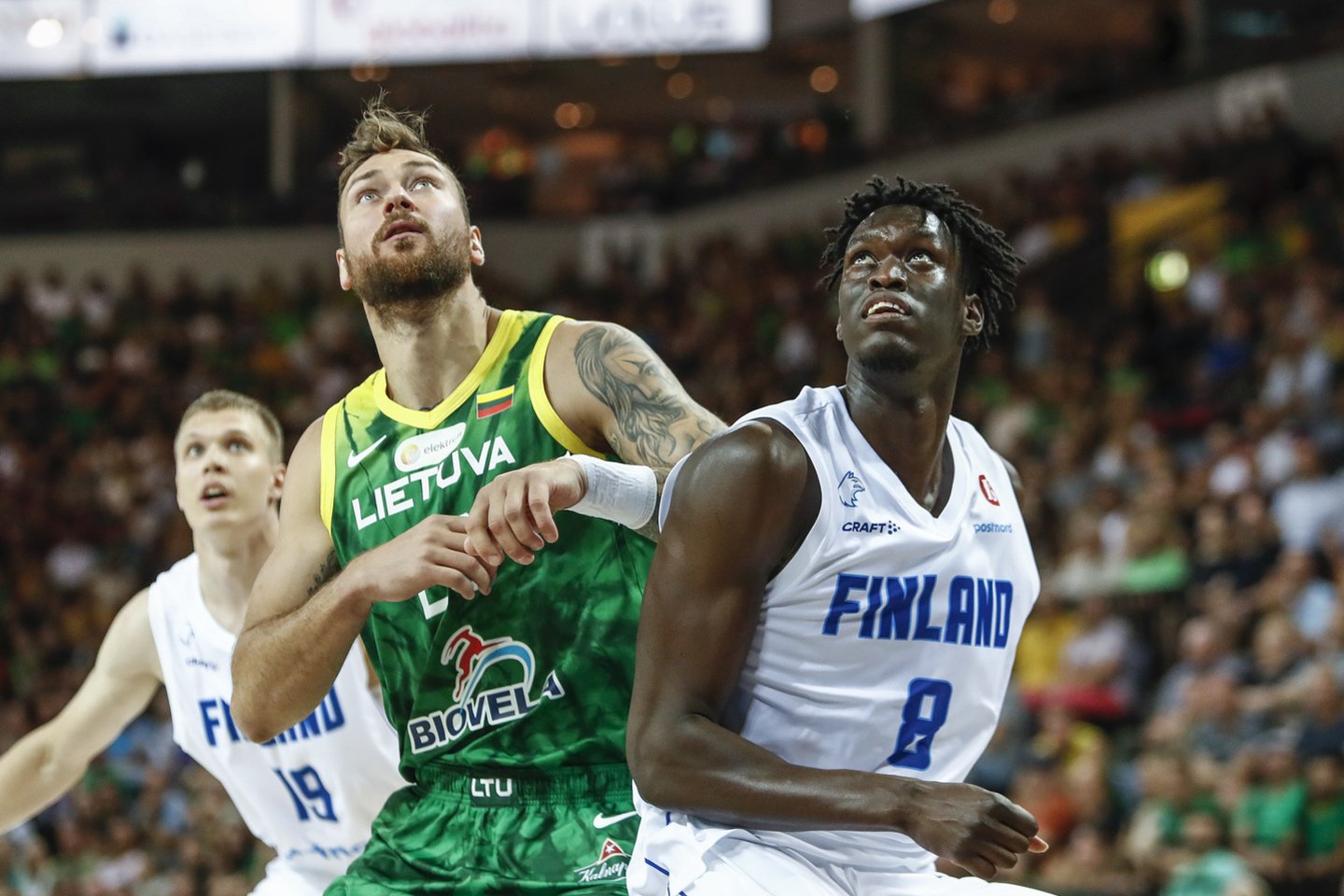 Donatas Motiejūnas<br>G.Šiuopario nuotr.