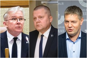 Institucijoms vangiai kalbant apie sulaikytą Rusijos dezertyrą, Seimo nariai neatmeta provokacijos galimybės