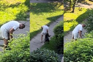 Kraupus įvykis Kaune: šeimininko vedamas šuo moters akivaizdoje mirtinai sudraskė katę