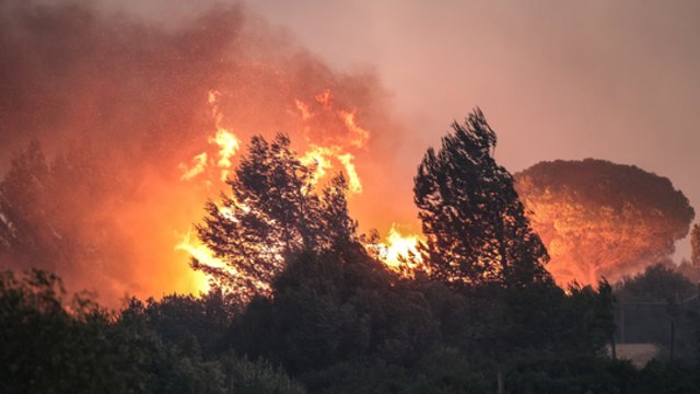 Liepsnos neapleidžia ir Europos: Tenerifėje siaučiant miškų gaisrams evakuoti keturi kaimai