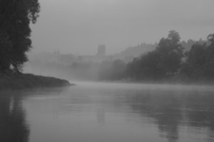 „Baltijos banga“ Nidoje: naujausių filmų seansai, susitikimai su kūrėjais 