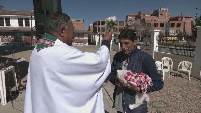Bolivijoje – ypatingos mišios: tęsiant ilgametę tradiciją, jose šventinami augintiniai