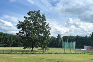 Galvosopis dėl nelegalios treniruočių aikštelės parke: niekas nežino, ką su ja daryti