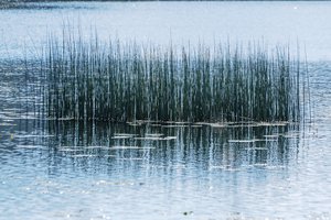 Ukmergės rajone nuskendo vyriškis