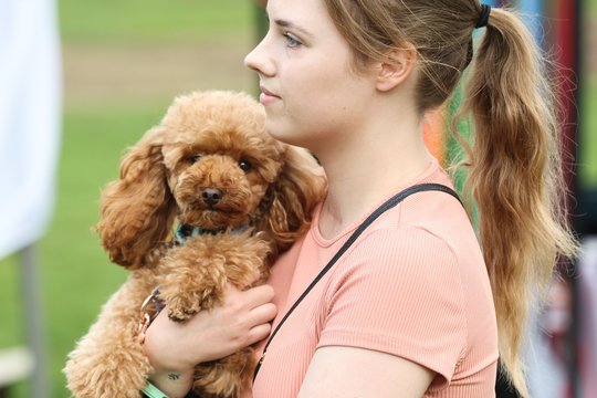 Vilniuje vyko „Gyvūnų gerovės diena“.