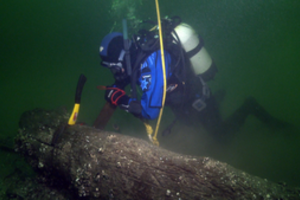 Akademikas Vladas Žulkus jūros dugne ieškojo laivų griaučių, o aptiko ledynmečio mišką