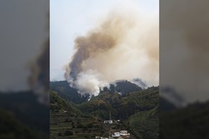 Miško gaisras Tenerifėje jau apėmė 10 000 hektarų plotą