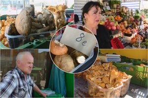 Atkerta pasipiktinusiems grybų kainomis turguje: eikite pagrybauti ir sužinosite, kiek kainuoja