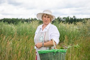 Sausra ir ariami laukai pakenkė vaistažolių rinkėjams, perdirbėjams: gali brangti ne tik arbata