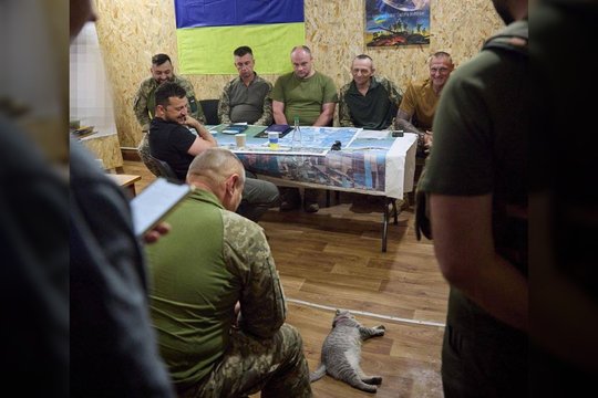 Katinas „po slaptos misijos“ ir V. Zelenskis: murklys susižėrė ne tik Ukrainos prezidento, bet ir internautų dėmesį.