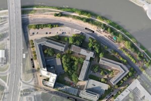 Kylant ministerijų miesteliui, stengsis išsaugoti kone visus medžius: iš anksto įvertino jų būklę