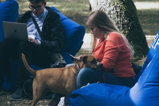 Birštone vyks jau tradicija tapęs diskusijų festivalis „Būtent!“ dalyvius ir lankytojus kviečia atvykti kartu su savo gyvūnais augintiniais.