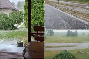 Vos per 10 minučių – 10 mln. eurų žala ūkininkams: „Kruša negailestingai „nupjovė“ augalus“