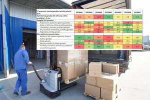 A. Izgorodinas apie ekonomikos situaciją Lietuvoje: perspektyvos neramina