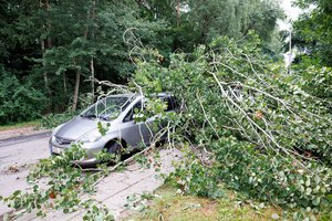 Ūkininkams keisis dalies draudimo įmokų kainos – žada, kad to neturėtų smarkiai pajusti