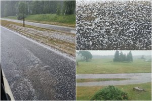 Žemės ūkio ministerija svarsto naują priemonę nukentėjusiems nuo audros