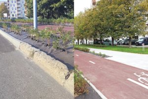 Blogiau nesugalvosi: naują gatvę puoš išdaužyti borteliai