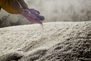 EK atstovybės vadovas: ES svarstytų visus pasiūlymus Ukrainos grūdų tranzitui lengvinti