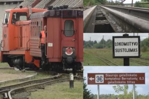 Negali patikėti, už kiek parduoda vienintelį išlikusį siauruką: „Dvelkia stebuklais“