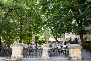 Paskelbė išvadą dėl sostinės centre planuotų kirsti medžių: aiškėja, kad grėsmę kelia visai ne jie