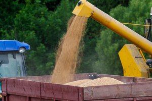 Ukrainietiškų grūdų šiuo metu per Lietuvą negabena – kaina tam per didelė