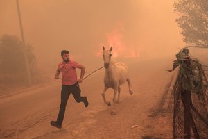 Graikijos šiaurės rytuose vis dar siaučia miškų gaisrai