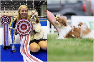 Vos 9 mėn. Amanda iš Vilniaus – gražiausia pasaulyje