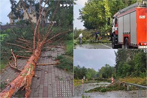 Rytas po Lietuvą siaubusios galingos audros: tarnybos vos spėja suktis, be elektros dar 11 tūkst. žmonių