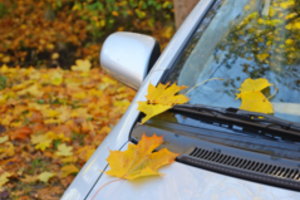 Ruošiame automobilį rudeniui: ką svarbu patikrinti ir pakeisti