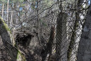 Žiniasklaida: prabangiame sostinės kvartale užtvertas priėjimas prie ežero įvertintas juokinga suma