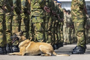 Marijampolėje atidaryta modulinė stovykla „Vytenis“: joje galės įsikurti iki 800 karių