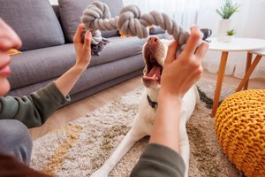 Norite namuose tvarkos, nepamirškite trijų darbų taisyklės – tuomet net rudenį nuotaika nesubjurs