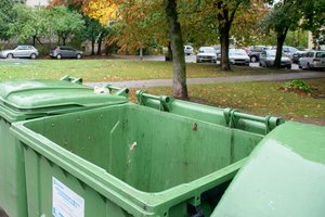 Po Rugsėjo 1-osios gėles į konteinerį išmetusią mokytoją pasmerkė ne visi: „Reiktų žvelgti iš kitos pusės“ 