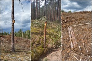 Pagaliau prarado kantrybę – dzūkai stoja skersai kelio įtartinam projektui     