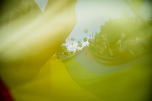 V. Čmilytė-Nielsen palaiko siūlymą leisti nepilnamečiams pasakoti apie homoseksualius santykius