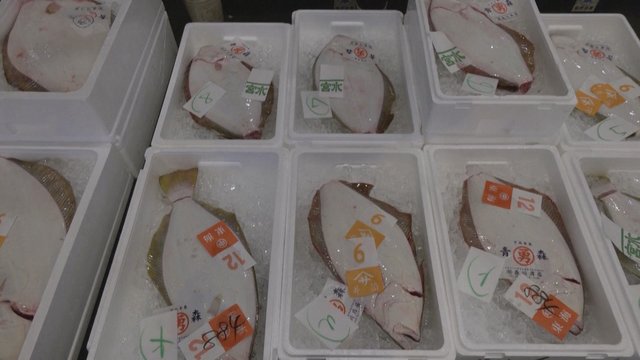 Pamatykite: pradėjus Fukušimos vandens išleidimą valgoma žuvis kelia dvejones