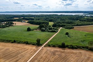ŽŪM: nuosekliai augęs ekologinių plotų ūkis šiemet sumažėjo 6 proc.
