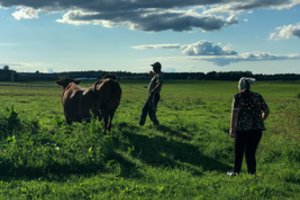 Vyriausybė dėl EK sprendimo kreipsis į teismą: Lietuvos žemės ūkiui skirtos lėšos sumažėjo 13 mln. eurų
