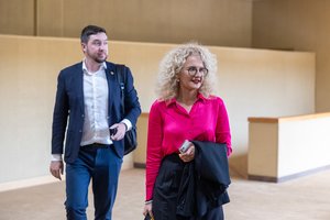 A. Armonaitė kritikuoja P. Saudargo siūlymus grįžti prie „artimojo ryšio“ įstatymo: tai užslėptos homofobijos manifestas